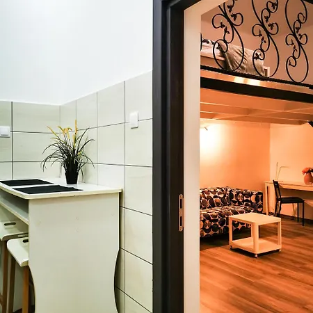 Appartement Visegradi *